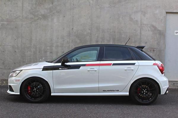 Garage Vary | Lower Fender Trim for Audi S1 8X