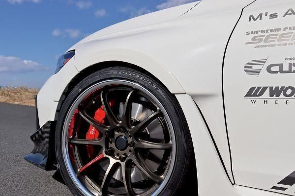 Garage Vary | Low Form Fender Flares Urethane for Honda Civic Type R (FL5)