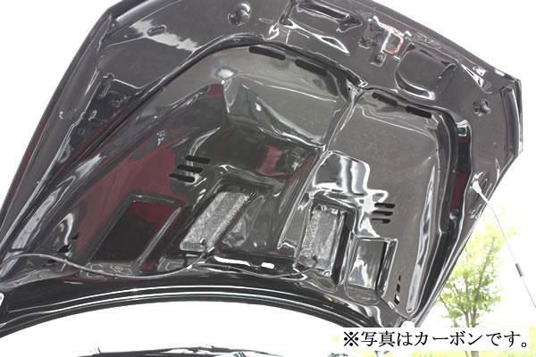 Garage Vary | Rain Guards - FRP for Mitsubishi Lancer Evolution X
