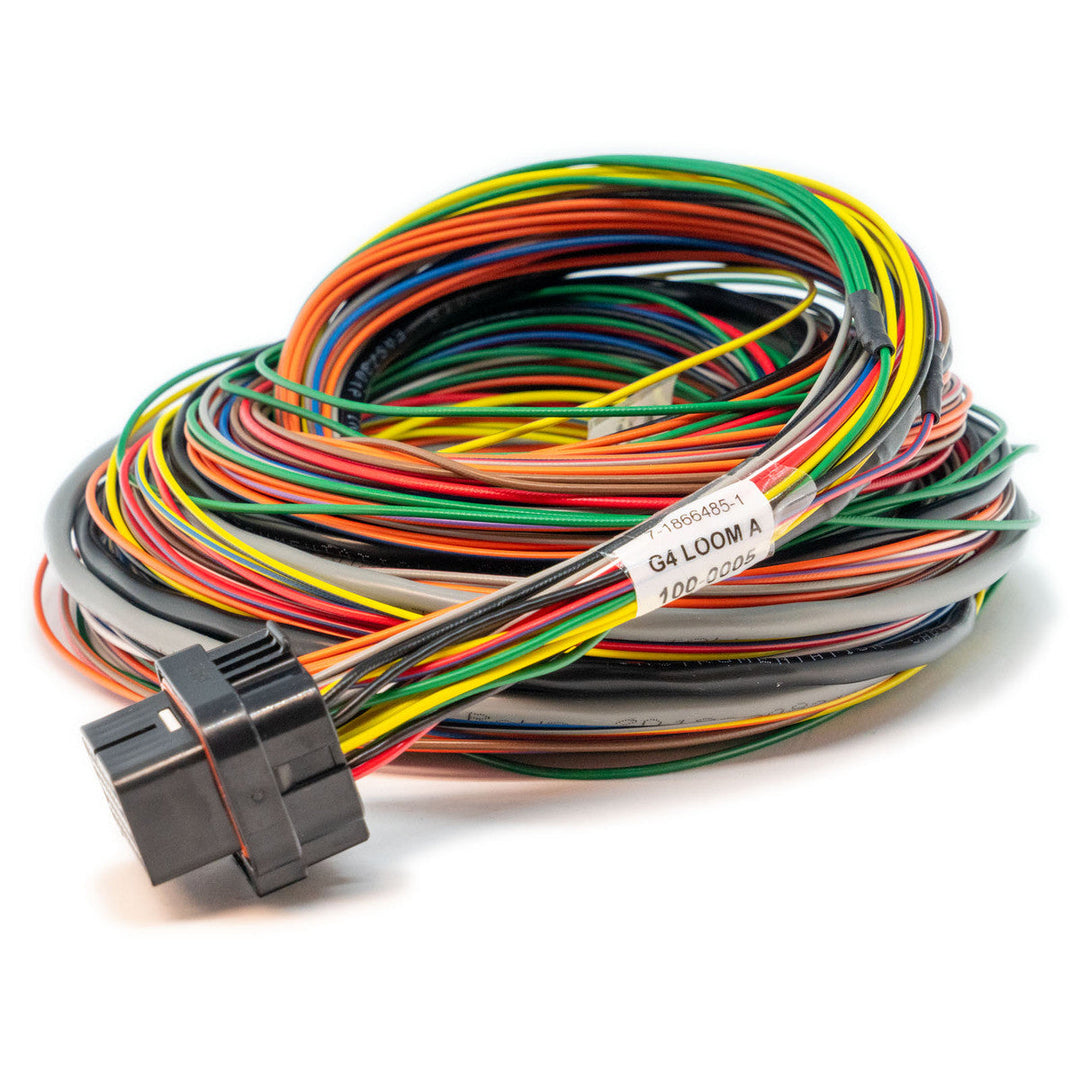 Link ECU | A Loom