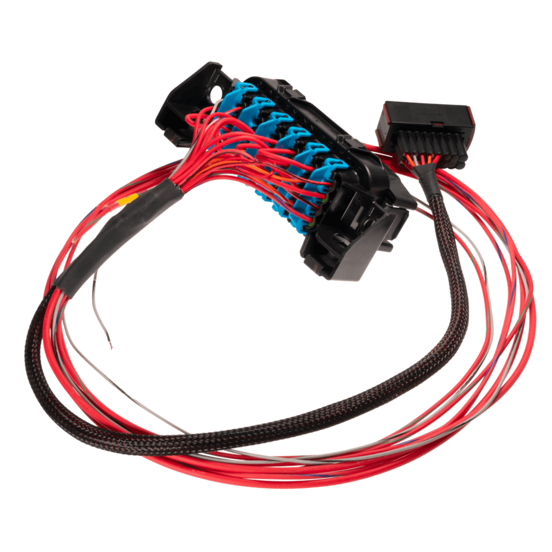 Link ECU | LS Harness - Fuse and Relay Box