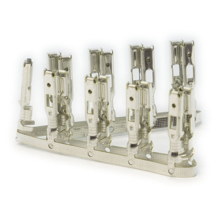 Link ECU | Housing & Terminals (TK G1 LEM)
