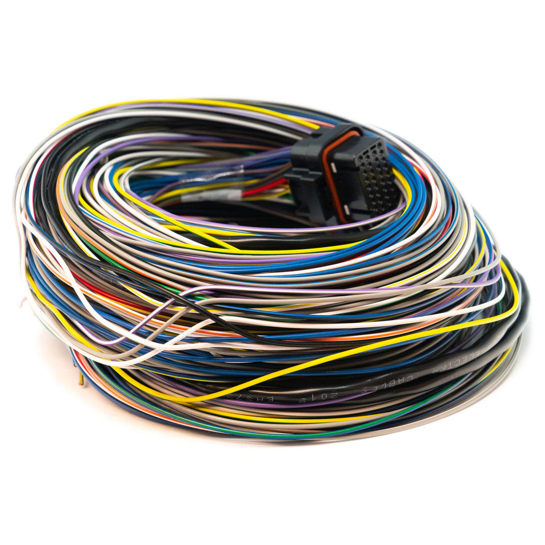 Link ECU | B Loom