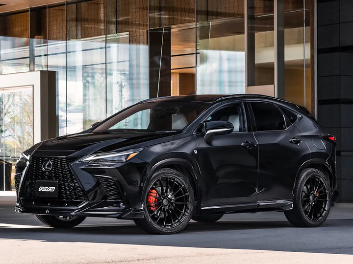 Rays | VMF L-01 Semigloss Black | 5X112 | 21X10.0 +15