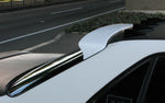 URAS Roof Wing for Nissan (99-02 R34)